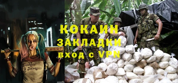 индика Алексеевка