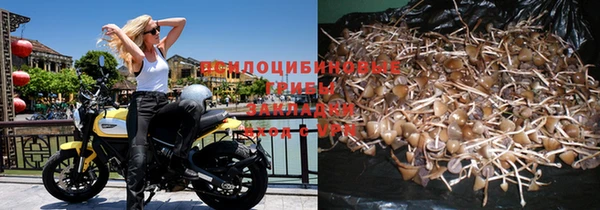 индика Алексеевка