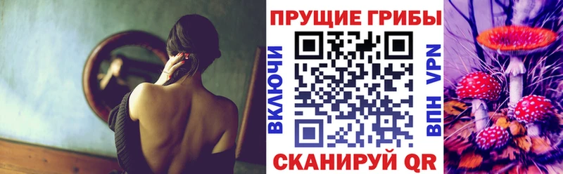 Галлюциногенные грибы Psilocybine cubensis МЕГА зеркало Буй