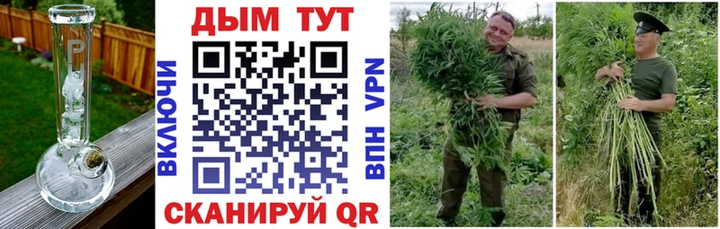 где продают наркотики  Буй  Марихуана индика 